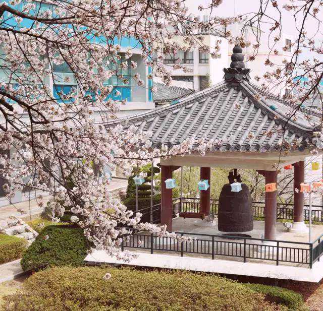 为何导师更青睐推免生？推免比例应继续扩大吗？