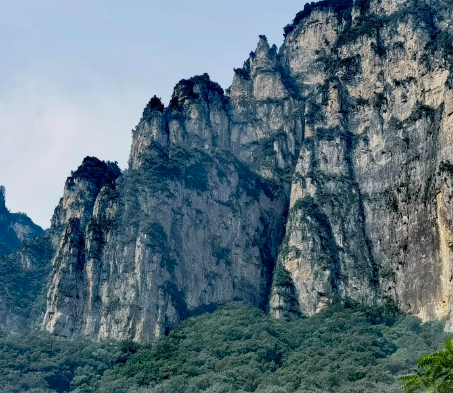 干货 | 财产保全操作指引（附执行细则）